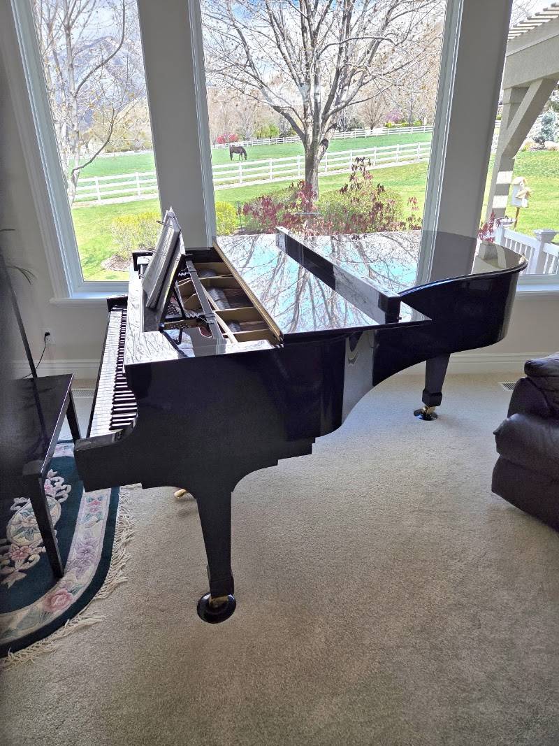 Elite Piano & Safe Movers